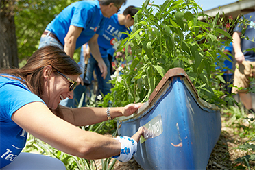 Environmental stewardship