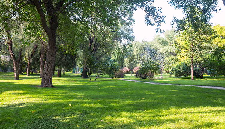 Driving the climate change conversation: The BMO Climate Institute