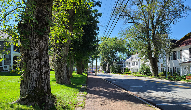 Decarbonizing Canada’s  housing market: Unpacking barriers and solutions to align  Canada’s housing sector with net-zero targets